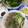 Nguyễn Thuỵ Chi Anh's cooksnap of when they made Nước dùng phở bò.