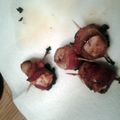 NiallHoran4173's cooksnap of when they made Bacon Wrapped Chicken Drumettes.