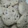 Cooksnap dari ZONKKITCHEN untuk resep Milky Chocochip Cookies