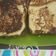 El cooksnap de Vivian Neira cuando hizo Tostadas francesas.