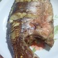 صورة من mai amr، شاركها بعد تجربة وصفة سمك مشوي 🐟 في الفرن بدون ردة.. صحي و سريع