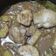 Cooksnap dari Hana Septiani untuk resep Semur Ayam Kecap + Kentang