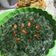 Cooksnap dari Yo Hana untuk resep Bobor Daun Singkong