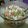 El cooksnap de Veronica Gonzalez cuando hizo Ensalada de pepino, cebolla, tomate y queso.