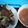 Cooksnap dari Maulidya Rahman untuk resep Pecak ikan gurame betawi