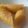 Sandy's cooksnap of when they made Boiled ripe plantain.