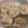 Hsieh Apple 的 玫瑰煎餃[韭菜豬肉] cooksnap