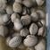 Cooksnap dari Winda Mel untuk resep Soup kerang dara