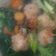 Cooksnap dari Christina Wardani untuk resep Sup Bola Rambutan