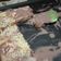 Cooksnap dari Tedi untuk resep Setup roti susu coklat