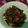 Cooksnap dari Farihah Zakiyyah untuk resep Oseng Kacang Panjang Tempe