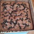 Cooksnap dari Lita Badri untuk resep Bolu Coklat Kukus 2 telur takaran sendok (Brownies ekonomis)