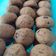 Cooksnap dari Empush Puspita untuk resep Chocochips Soft Cookies (No Mixer)