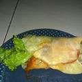 Cooksnap dari Nuha Azizah untuk resep Kulit tortilla