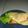 Cooksnap dari Nuha Azizah untuk resep Kulit tortilla