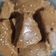 Amy j 's cooksnap of when they made ગોળ પાપડી (Gol Papdi Recipe In Gujarati).