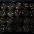 Cooksnap dari Lincz untuk resep Vegan / Vegetarian Fudge Brownie (bebas telur & produk susu)