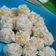Cooksnap dari Kharisma A Rahayu untuk resep Klepon kabocha simpel (mpasi)