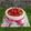 Cooksnap dari Iin Safitri untuk resep Cheddar Cheese Cake