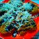 Cooksnap dari DaruDewi untuk resep Pisang Goreng Keju Crispy