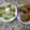 El cooksnap de Jonathan Rodriguez Viejo cuando hizo Pollo al horno con hierbas y especias.