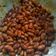 Cooksnap dari Kezia Lesmana untuk resep Semur Kacang Merah