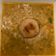 Dipanshi Makwana's cooksnap of when they made દાળ બાટી (Dal Bati Recipe In Gujarati).