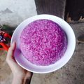 Cooksnap của Thu Mèo khi họ làm theo món Xôi tím