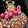 Cooksnap dari Bexa untuk resep Simple Dark Chocolate Pudding