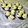 Cooksnap dari Tati SoLina untuk resep German Sheep Cookies