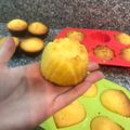 El cooksnap de Rocio Noel Andreoli cuando hizo Budín de mandarina en Licuadora.