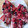 El cooksnap de Beant Devkaur cuando hizo Kuchen sureño también conocido con alemán ☺️😏🍓🍓.