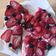 El cooksnap de Beant Devkaur cuando hizo Kuchen sureño también conocido con alemán ☺️😏🍓🍓.