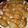 Cooksnap dari rora untuk resep Dumpling (Gyoza Kukus/Goreng) Ala Rumahan