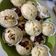 Cooksnap dari Setio Rini untuk resep Bolu Kukus Pisang Kepok