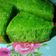 Cooksnap dari Amrina Fadliyani untuk resep Bika ambon pandan teflon (no mixer)