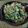 El cooksnap de Julieta Luján cuando hizo Tabulé (Ensalada libanesa de trigo).
