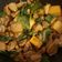 Cooksnap dari vebs untuk resep Thai Basil Ground Pork