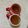 林小竹 的 烏龍蜜茶凍 cooksnap