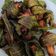 Cooksnap dari Agnes Scholastika Kurniadayani untuk resep Ayam goreng daun pandan ala thailand