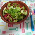 El cooksnap de Sandra cuando hizo Mini ensalada de tomate, rábano y pepinillo.