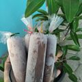 Cooksnap dari Amida RJ untuk resep Es mambo coklat choki-choki