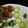 Bint E Rauf 's cooksnap of when they made Steam chicken.