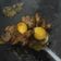 Cooksnap dari Helly Devani untuk resep Semur Ati Ampela Ayam