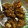 Cooksnap dari Eric Hariyanto Wijaya untuk resep Ayam Manis