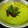 Durgadevi Mariappan's cooksnap of when they made முருங்கைக்கீரை சட்னி.