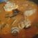 Cooksnap dari seli Litikansi untuk resep Pindang kepala ikan simba