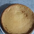 Cooksnap dari Rayyan Wdiatmoko untuk resep Cake tape lembut