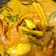 Cooksnap dari Wiry Sherly untuk resep Gulai Cumi-Cumi