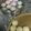 Jennifer Pornasdoro's cooksnap of when they made Puto with Cheese.